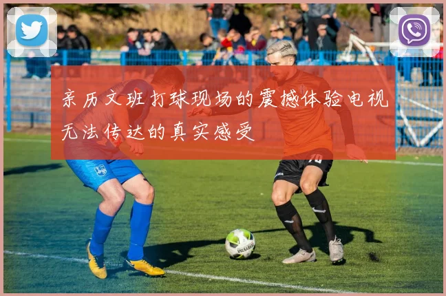 亲历文班打球现场的震撼体验电视无法传达的真实感受