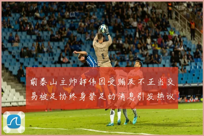 前泰山主帅郝伟因受贿及不正当交易被足协终身禁足的消息引发热议