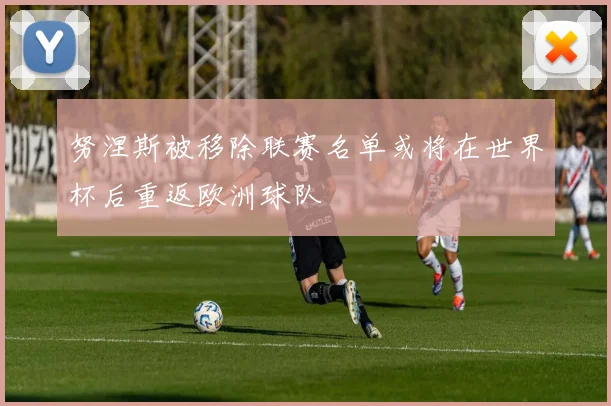 努涅斯被移除联赛名单或将在世界杯后重返欧洲球队