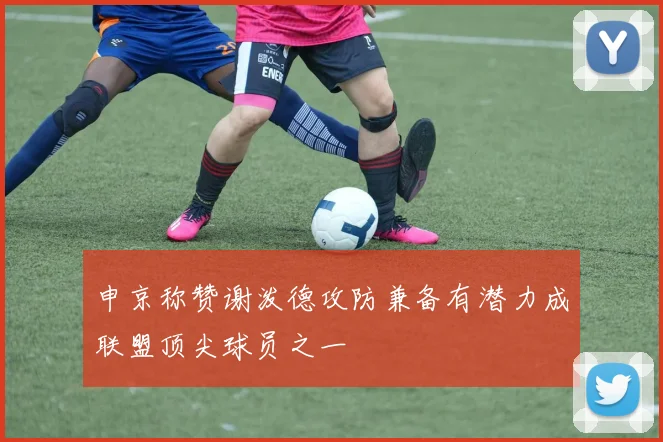 申京称赞谢泼德攻防兼备有潜力成联盟顶尖球员之一